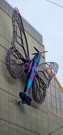 img-20250616-wa0088.jpg