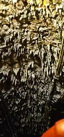 20250620-134317.jpg